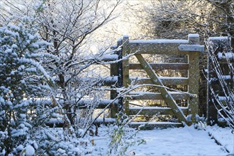 Gate in snow covered garden
