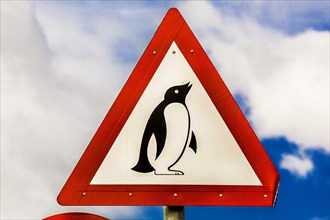 Warning sign in front of african penguins