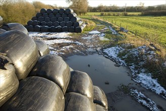 Stacks of black plastic wrapped silage bales on muddy waterlogged farm track