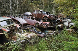 Piles of scrap cars in the forest