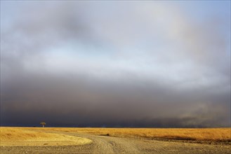 View of grassland habitat with stormclouds