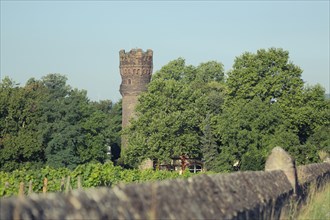 Tower of Reichartshausen Castle and European Business School in Hattenheim