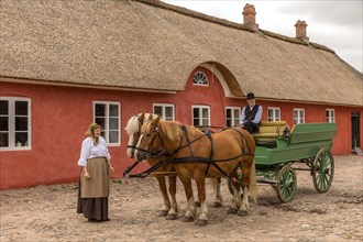 Farmhouse with horse-drawn carriage at Hjerl Hede Open Air Museum