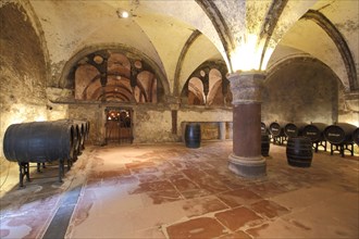 Wine cellar with wine barrels in the cabinet cellar of the UNESCO Eberbach Monastery in Eltville