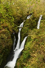View of waterfall in deciduous woodland