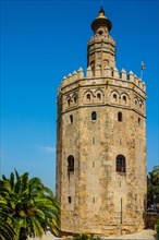 Torre Oro