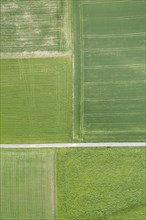 Aerial view of a straight field road through green agricultural landscape
