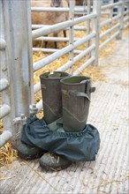 Farmers wellington boots and waterproof trousers outside pens at livestock market
