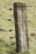 Sturdy Sleeping Corner Post with Wires and Insulators for and Electric Fence for Stable Cattle