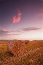 Round bales of straw in a stubble field at sunset