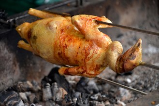 Duck on a spit