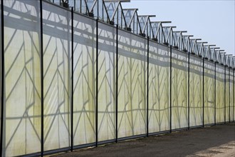 Commercial greenhouse shading