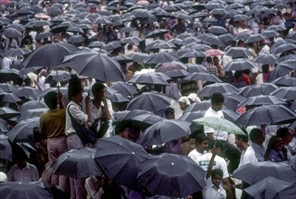 Crowd with umbrellas in raining during Pooram festival in Thrissur or Trichur