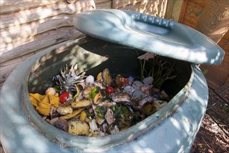 Plastic garden compost bin with rotting fruit and vegetable remains