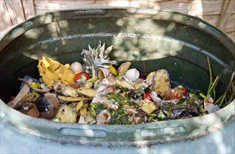 Plastic garden compost bin with rotting fruit and vegetable remains