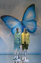 Shop window with fashionable mannequins and large paper butterfly