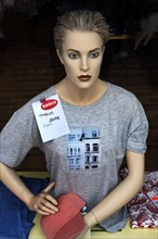 Fashion doll with T-shirt