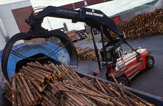 Logs loaded in pulp mill with Svetruck TMF forklift grapple