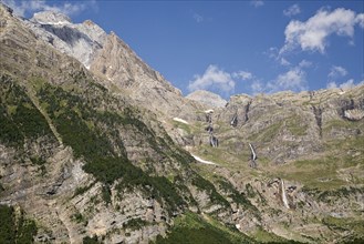 View of the mountain habitat