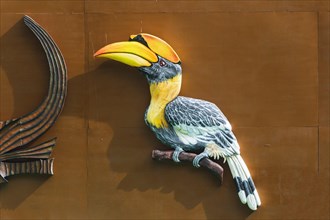 Great Indian Hornbill