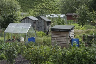 Sheds and greenhouses with rainwater butts on allotment