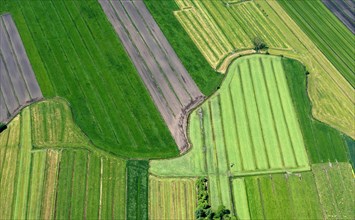 Aerial view of the field landscape
