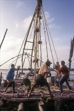 Operating the Chinese fishing nets or Cheena vala in Fort Kochi or Cochin