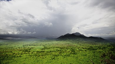 View of savannah habitat