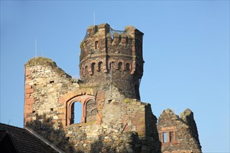 Ruin with tower of Reichartshausen Castle and European Business School in Hattenheim