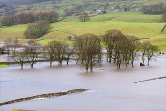 Flooded farmland along the River Ure near Hawes