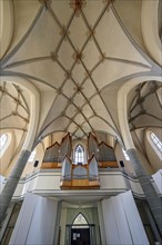 Orgelempore und Kreuzgewoelbe