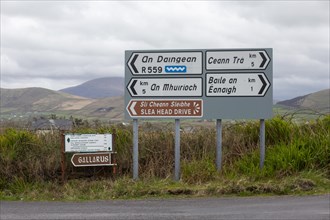 Beautiful landscape with Irish language road signs in the West Kerry Gaeltacht