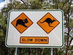 Koala and kangaroo crossing road sign