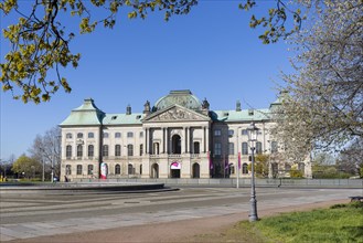 Palaisplatz and Japanese Palace