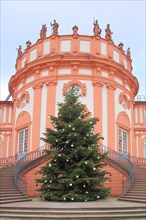Castle with Christmas tree in Biebrich