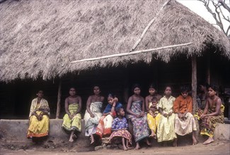 A group of Betta Kurumba