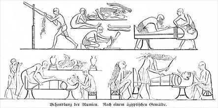 Treatment of mummies