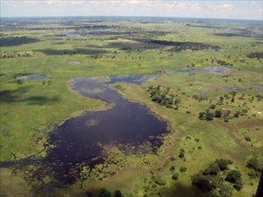 Aerial view of the Okavango Delta