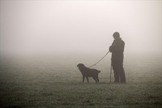 Picker stands in the field with trained dog waiting for pheasant shooting to begin