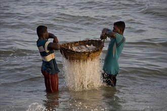 F wash freshly caught fish from Sri Lanka