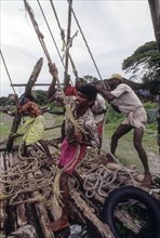 Operating the chinese fishing nets in Fort Kochi