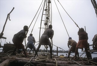 The Chinese fishing nets or Cheena vala in Fort Kochi or Cochin