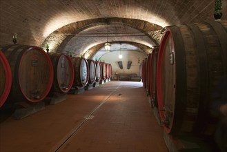 Barrels of Chianti red wine