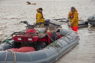 Licensed cockle pickers with quad bike in inflatable boat