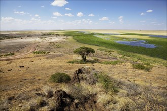 View of savannah and marshland habitat