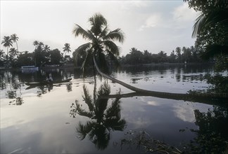 Backwaters of Kodungallur in kerala