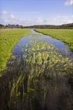 'Winterborne' seasonal stream flowing through pasture