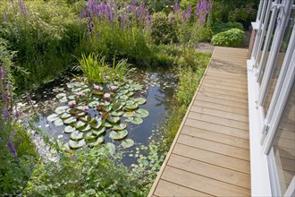 Wildlife garden pond with boardwalk and conservatory