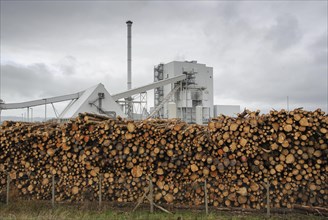 Biomass powerstation with stack of timber