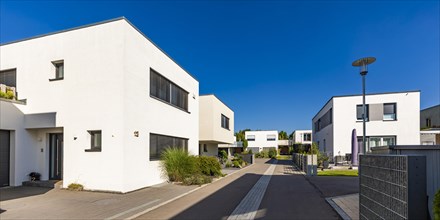 Modern detached houses in new development area